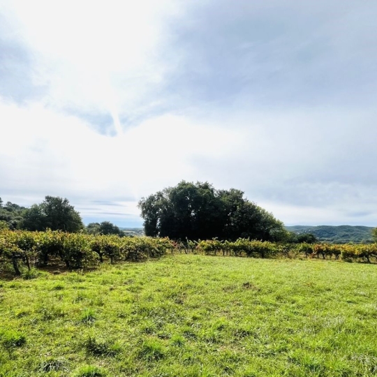  Midimas Immo : Terrain | GOUDARGUES (30630) | 0 m2 | 255 600 € 