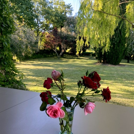  Midimas Immo : Domaines / Propriétés | GOUDARGUES (30630) | 188 m2 | 625 000 € 