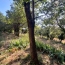  Midimas Immo : Maison / Villa | GOUDARGUES (30630) | 175 m2 | 399 000 € 
