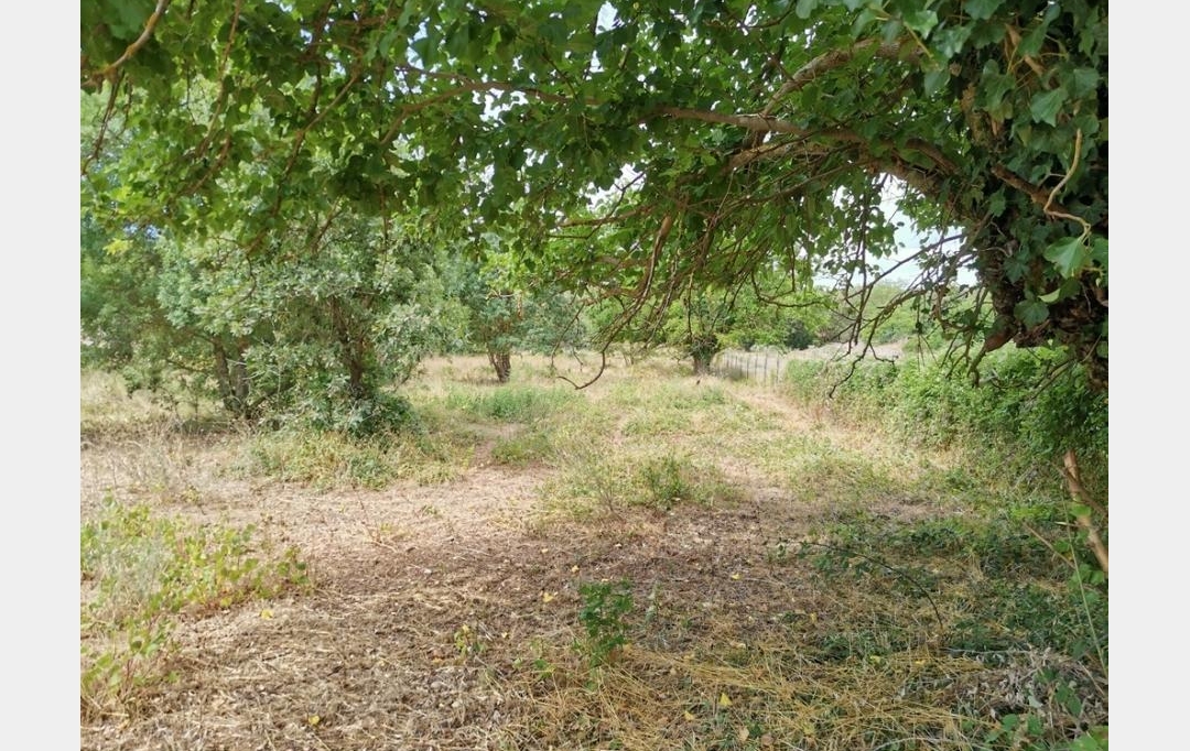 Midimas Immo : Ground | VERFEUIL (30630) | 0 m2 | 160 500 € 