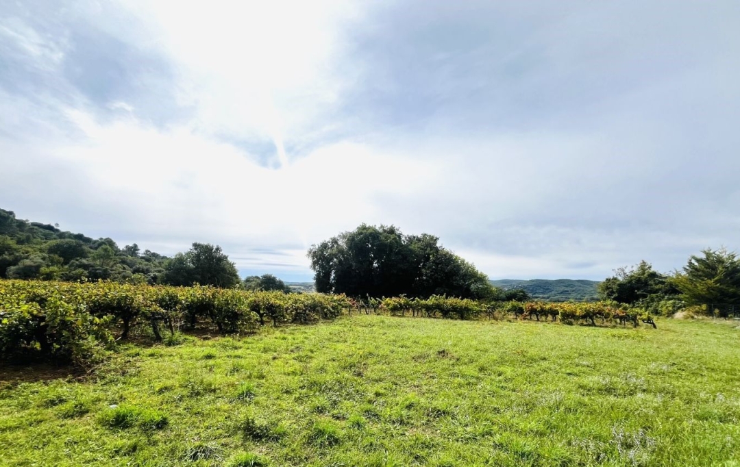 Midimas Immo : Terrain | GOUDARGUES (30630) | 0 m2 | 255 600 € 