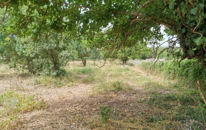 Midimas Immo : Terrain | VERFEUIL (30630) | 0 m2 | 160 500 € 