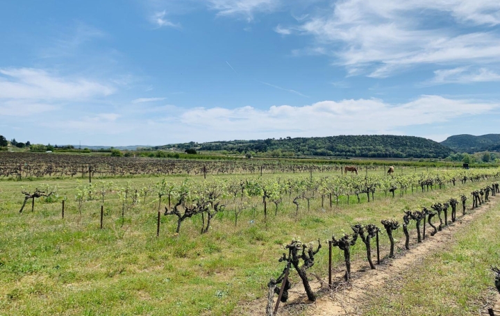 Terrain SAINT-LAURENT-DE-CARNOLS 160 500 € Terrain SAINT-LAURENT-DE-CARNOLS 160 500 €