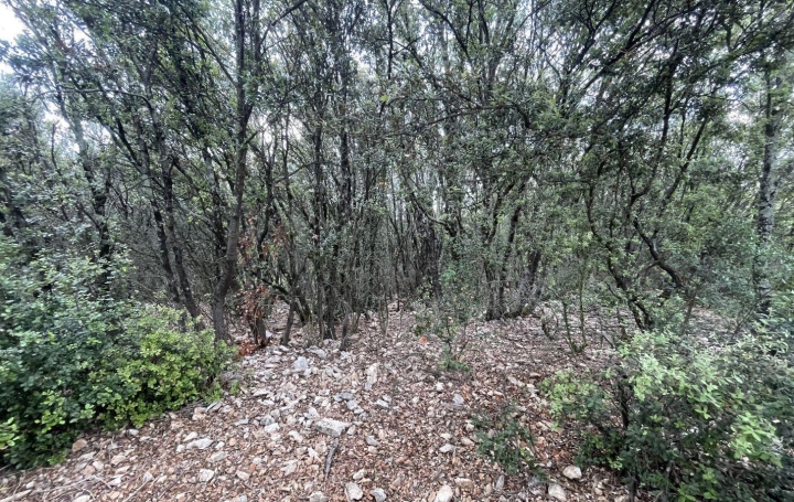 Terrain ORGNAC-L'AVEN 99 000 € Terrain ORGNAC-L'AVEN 99 000 €