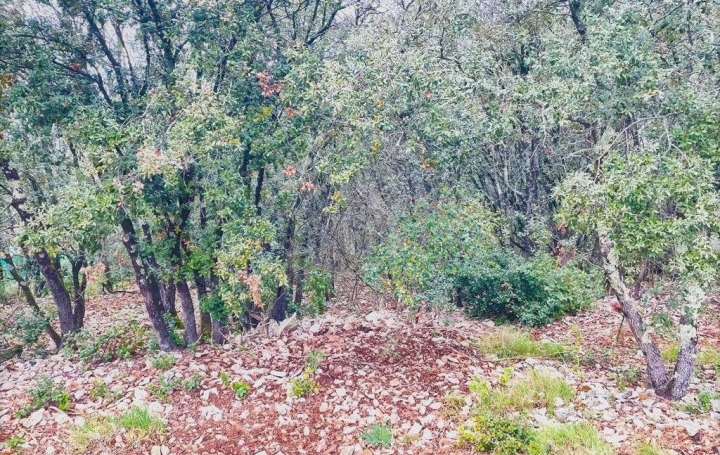  Midimas Immo Terrain | GOUDARGUES (30630) | 0 m2 | 99 000 € 